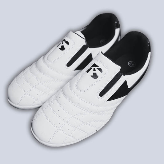 Martial Arts Footwear A2